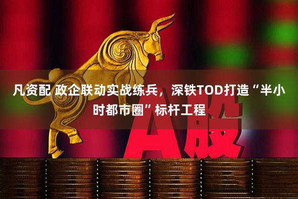 凡资配 政企联动实战练兵，深铁TOD打造“半小时都市圈”标杆工程