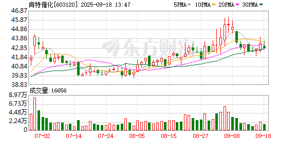 华融资产 肯特催化：2025年第二次临时股东大会决议公告