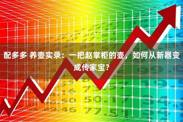 配多多 养壶实录：一把赵掌柜的壶，如何从新器变成传家宝？